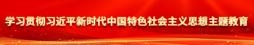 大屌操高潮逼学习贯彻习近平新时代中国特色社会主义思想主题教育