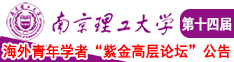 美女屌逼南京理工大学第十四届海外青年学者紫金论坛诚邀海内外英才！